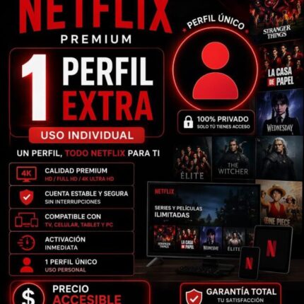 Perfil Netflix ( sin restricciones)